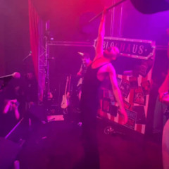 Leisureware: 11th November '25