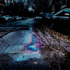 The Mania and Depression of a Midwest Wretch