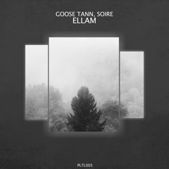 Goose Tann & Soire - Panam (Original Mix)