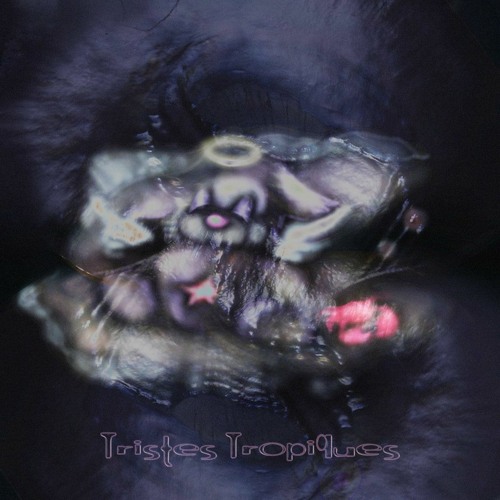 TRISTES TROPIQUES VA - Snippets