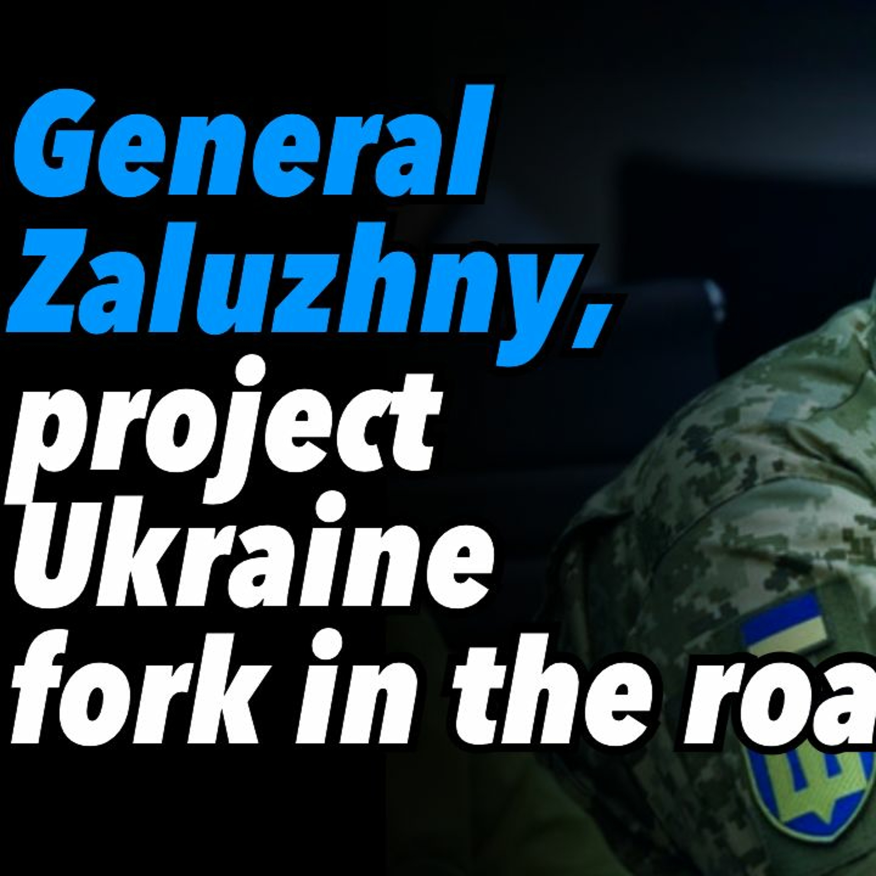 General Zaluzhny, project Ukraine fork in the road