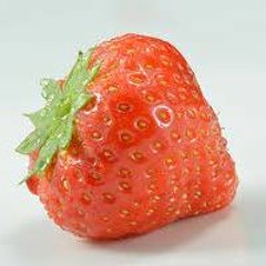 Frell Lover - Strawberry!