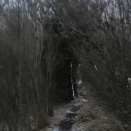 Stream El Luci4 | Listen to Sigilkore playlist online for free on