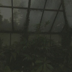 sᴏɴɢs ᴛʜᴀᴛ ɪ ʟᴏᴠᴇ <3