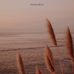 Ethereal Nexus 384