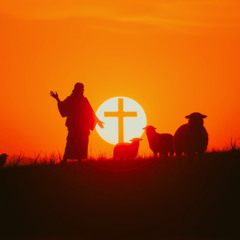 For My Yoke Is Easy
