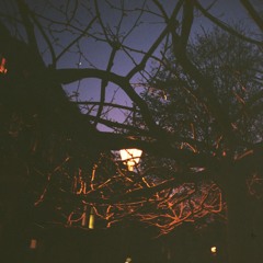 Chaotic Neutral 007 by Bill Patrick