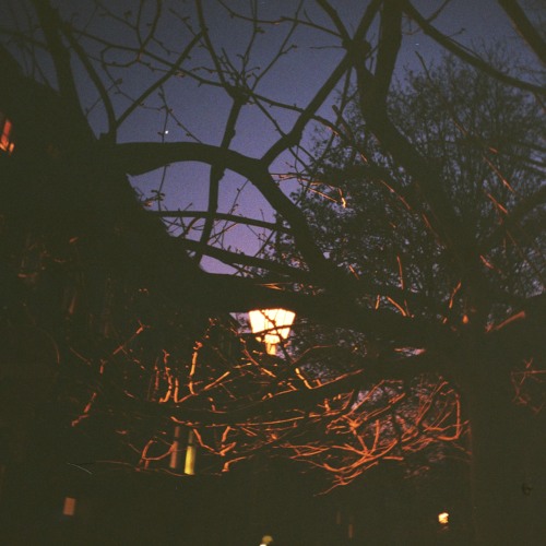 Chaotic Neutral 007 by Bill Patrick