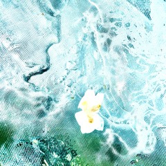 ◞ clavel