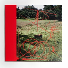 WSR - Dicasmia (STRAY011)