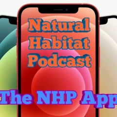 #636 - The NHP App