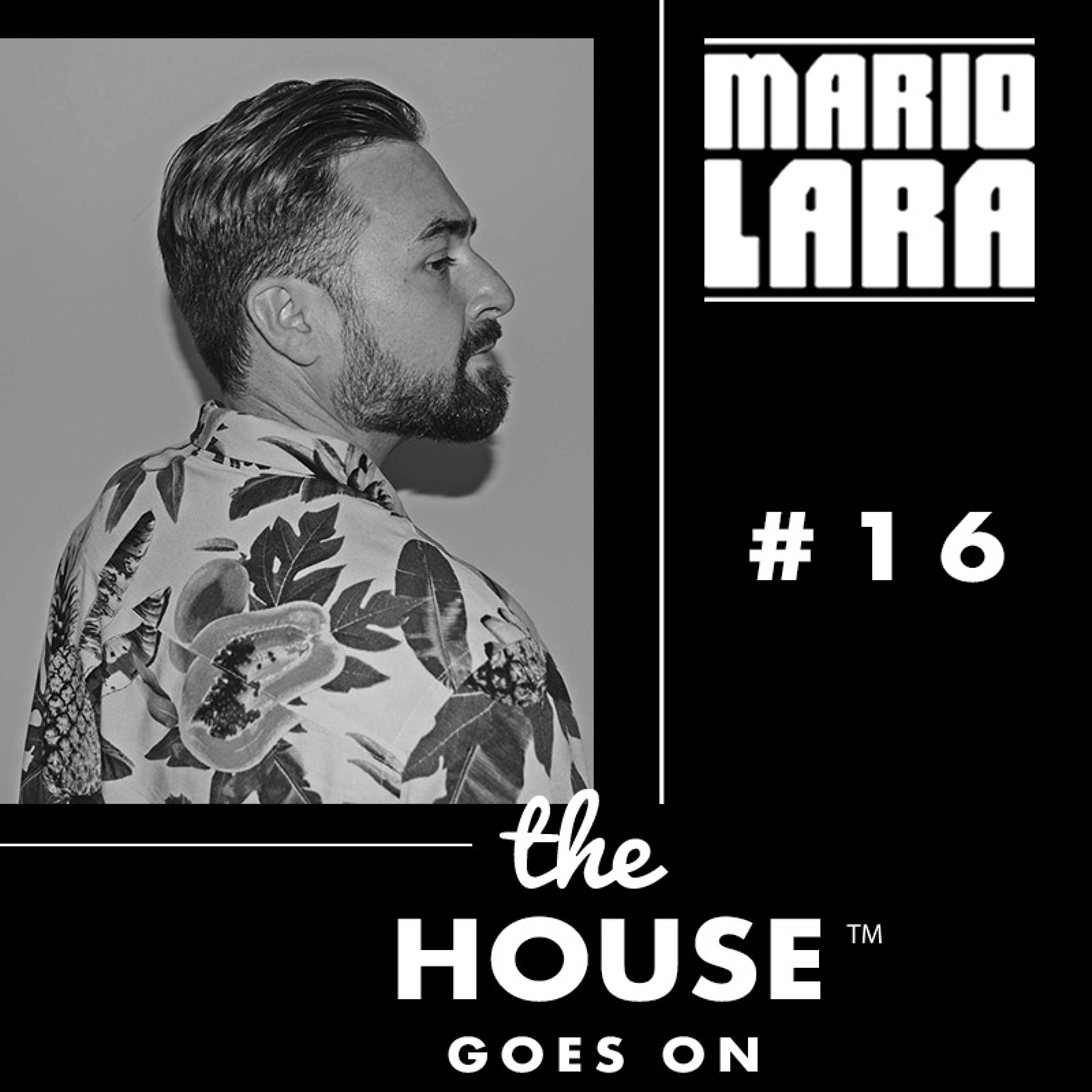 The House Goes On