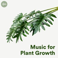 Music for Plant Growth 🪴 Ambient & Classical Music for Healthy Plants
