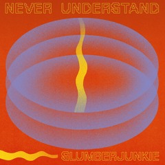 PREMIERE: Slumberjunkie - Never Understand