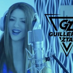 GZ - Mix Verano Hot 2023 [Shakira, Bzrp, Reggaeton, Salsa, Pachanga - Set Live]