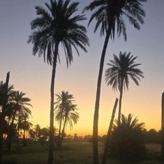 لما النسيم ــ محمد منير • برنامج ليلتي