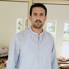 Sajjan Ta Honday Kam De Zaighum Abbas Dard.mp3