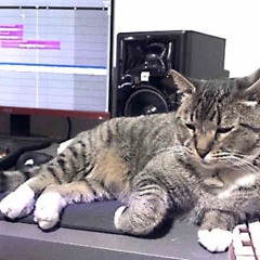 Forza (prod: Mugnchicon)