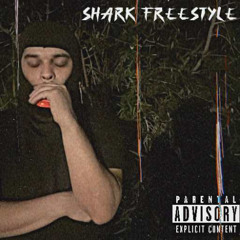 Shark Freestyle