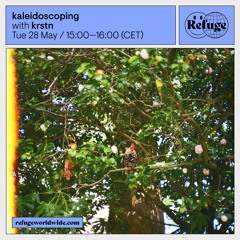 kaleidoscoping - krstn - 28 May 2024
