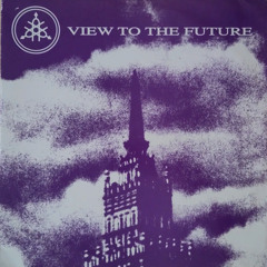 The Extremist - Journey to the Other World (12, 1996)