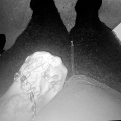 richwaydeucé - facts [holydxvi]