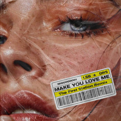 LSB, DRS-Make You Love Me(The First Station Remix)
