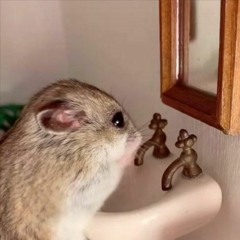 Archie, Marry Me (home demo) - Alvvays