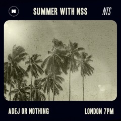 SUMMER W/ NSS RADIO