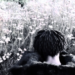 ZENTHEGHOUL -  ONE PIECE ( ワンピース )