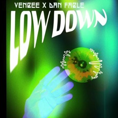 venbee lowdown DnB Flip