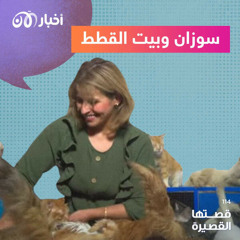 سوزان وبيت القطط