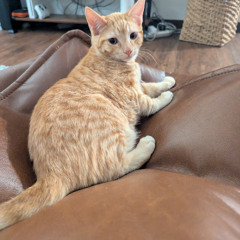 The Roundabout Way of Learning