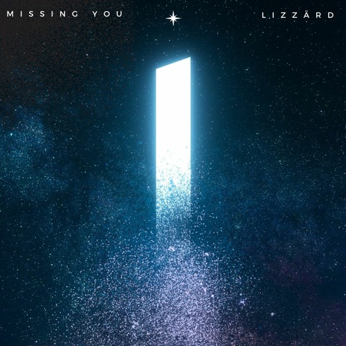 Missing You - Lizzärd
