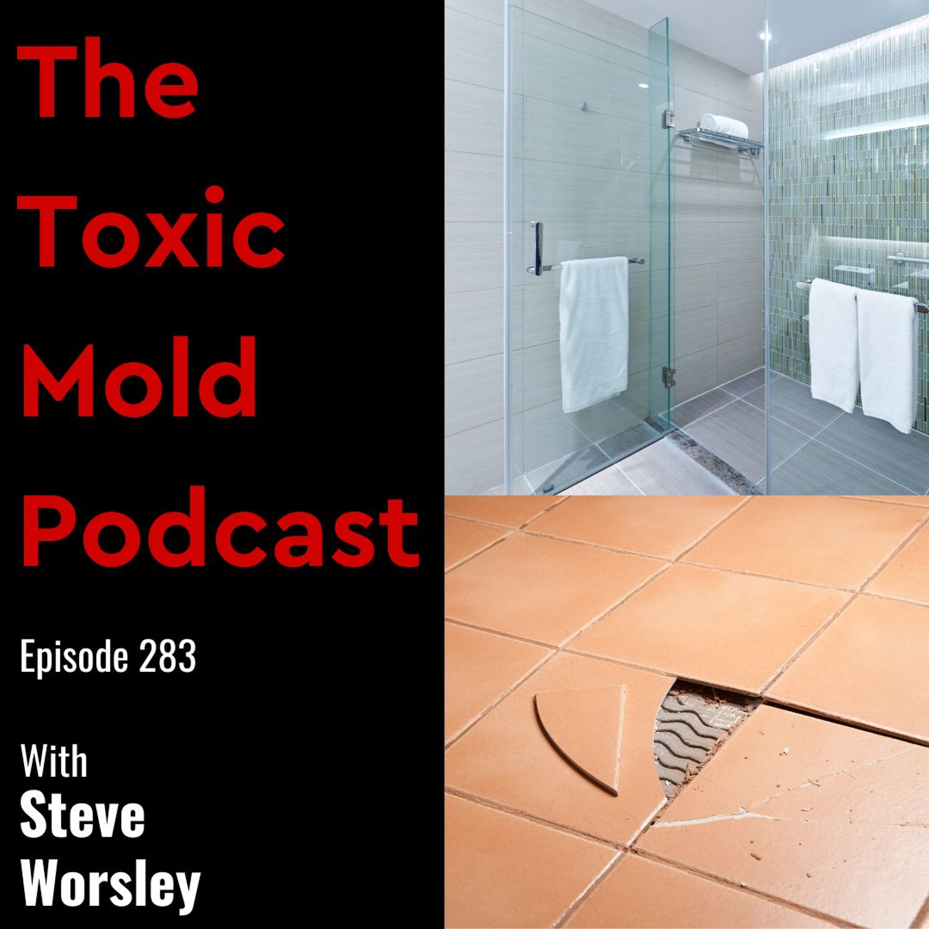 The Toxic Mold Podcast