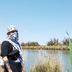 D-No Beats & hiphop, only vinnyl