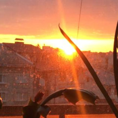 Morning In The Window