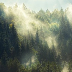 These Dreams by Heart Cover