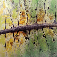 I went to the sea to feel myself, (2)