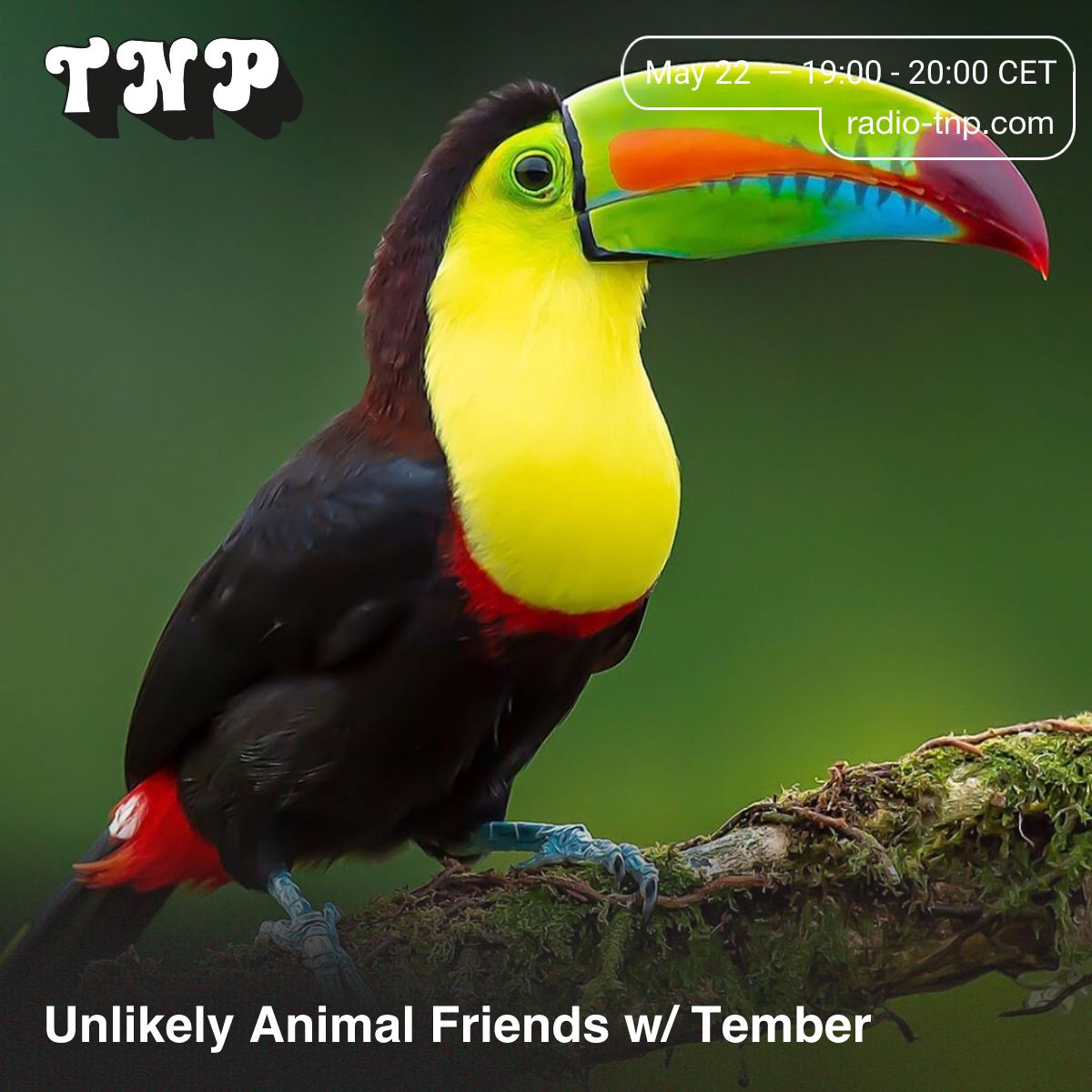Unlikely Animal Friends 05 w/ Tember