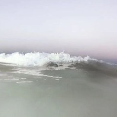 halcyon