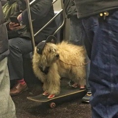 ꪑﺄ𝐃ʷꫀႽ☦︎ 𝔢𝖒𖤞