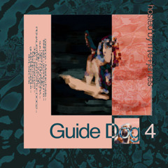Guide Dog 4 Track 15 Last Section