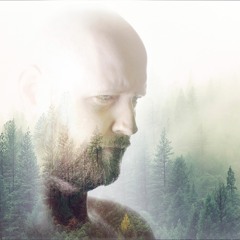 Wood - Grant Stinnett