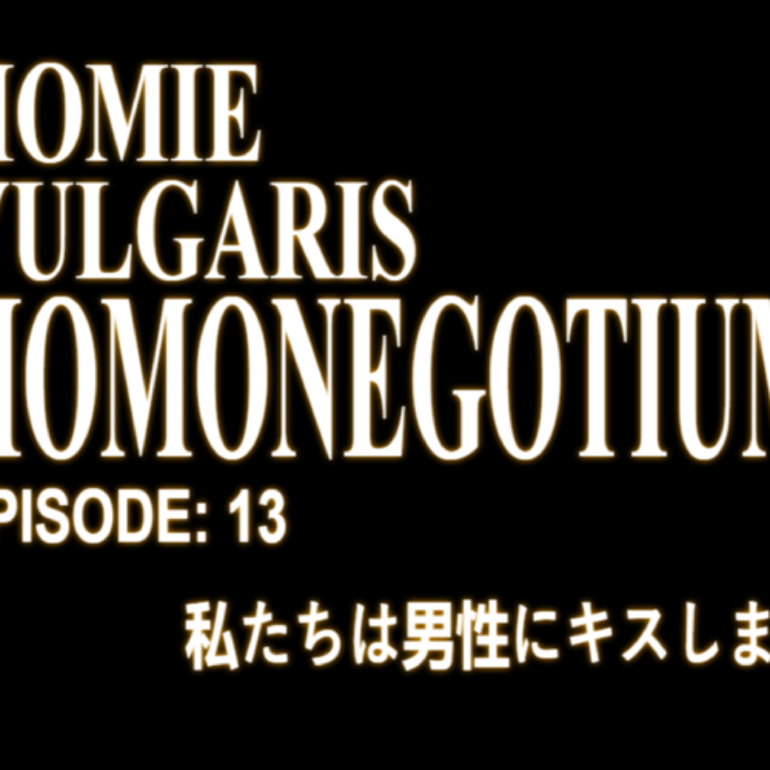 HomieVulgaris 13: Homo-negotium