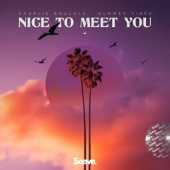 Charlie Boulala & Summer Vibes - Nice To Meet You