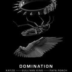 Kayzo x Sullivan King x Papa Roach - Domination (E*Tank Reflip)