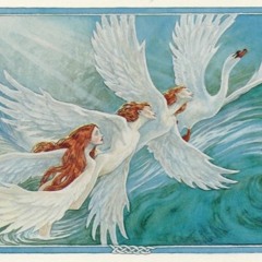 Król Łabędzie - The King of Swans