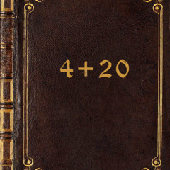 4+20