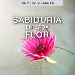 Sabiduría en cada Flor (Arnaldo & Andressa)